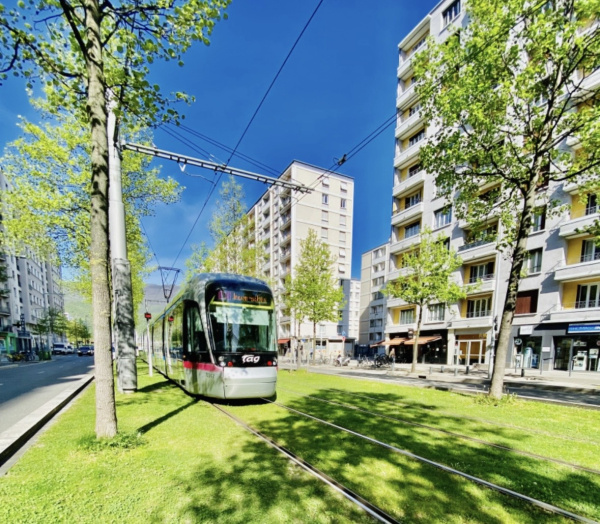 Vente Immobilier Professionnel Murs commerciaux Grenoble 38100