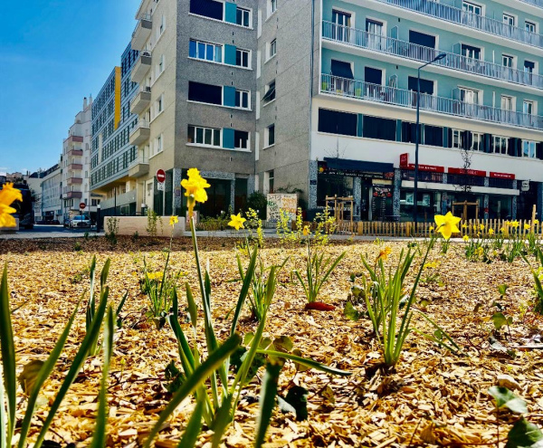 Offres de vente Appartement Grenoble 38000