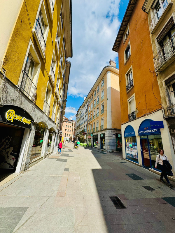 Vente Immobilier Professionnel Murs commerciaux Grenoble 38000